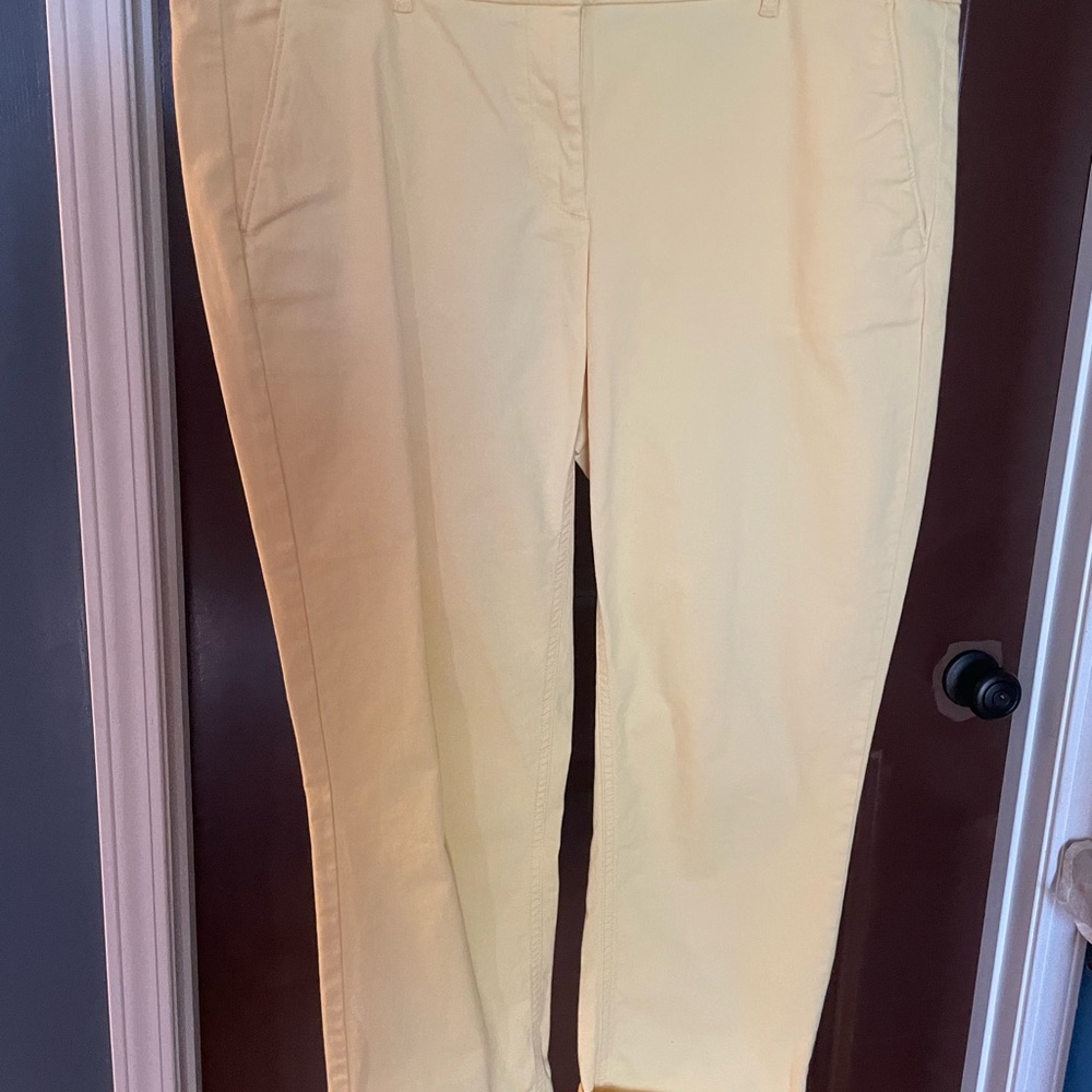 LOFT pants